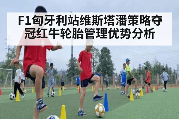 F1匈牙利站维斯塔潘策略夺冠红牛轮胎管理优势分析