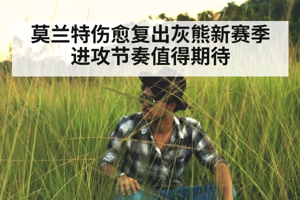 莫兰特伤愈复出灰熊新赛季进攻节奏值得期待