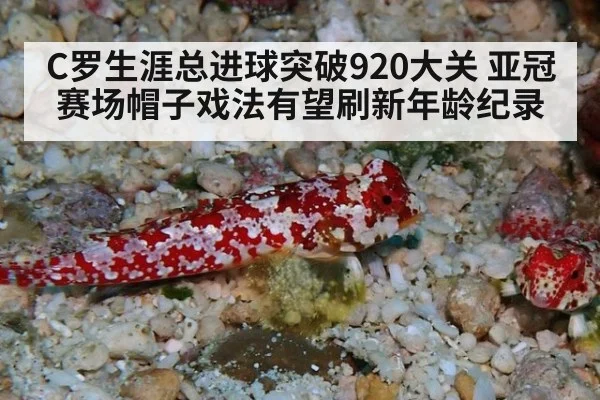 C罗生涯总进球突破920大关 亚冠赛场帽子戏法有望刷新年龄纪录