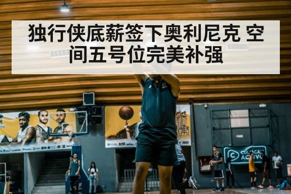 独行侠底薪签下奥利尼克 空间五号位完美补强