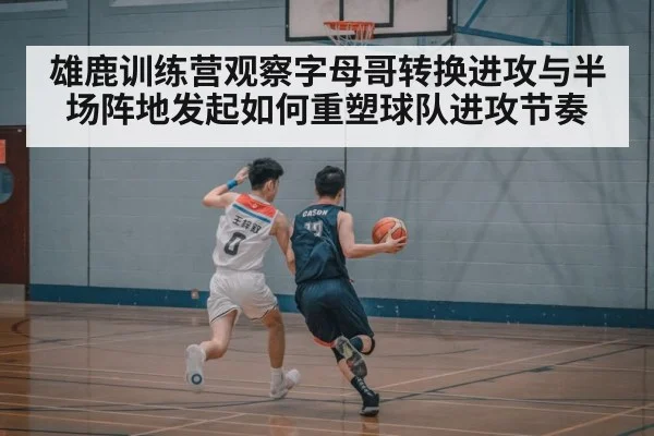 雄鹿训练营观察字母哥转换进攻与半场阵地发起如何重塑球队进攻节奏