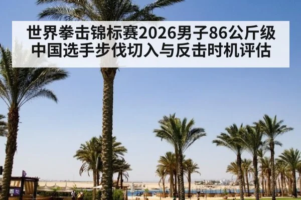 世界拳击锦标赛2026男子86公斤级中国选手步伐切入与反击时机评估